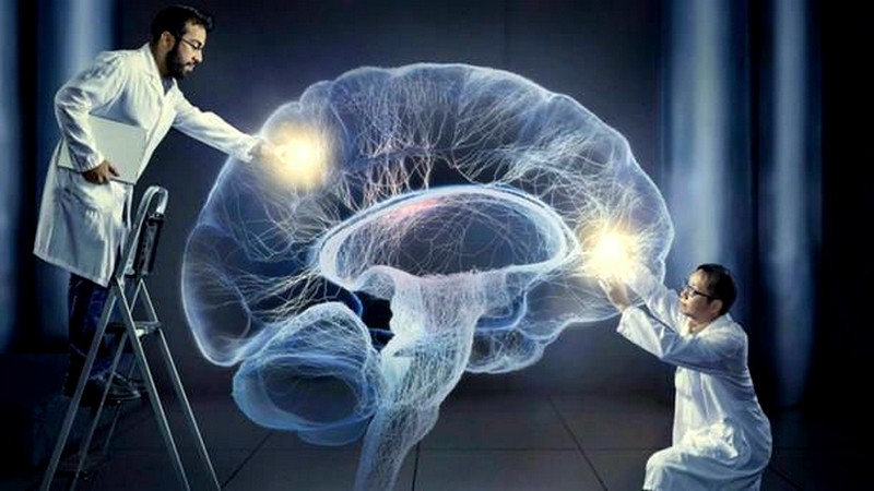 Как работают нейронные сети в рамках искусственного интеллекта?